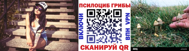 мориарти клад  Великий Устюг  Псилоцибиновые грибы мицелий  магазин  наркотиков 